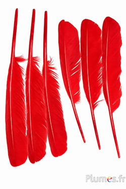 Zwaan - 30-33 cm - rood
